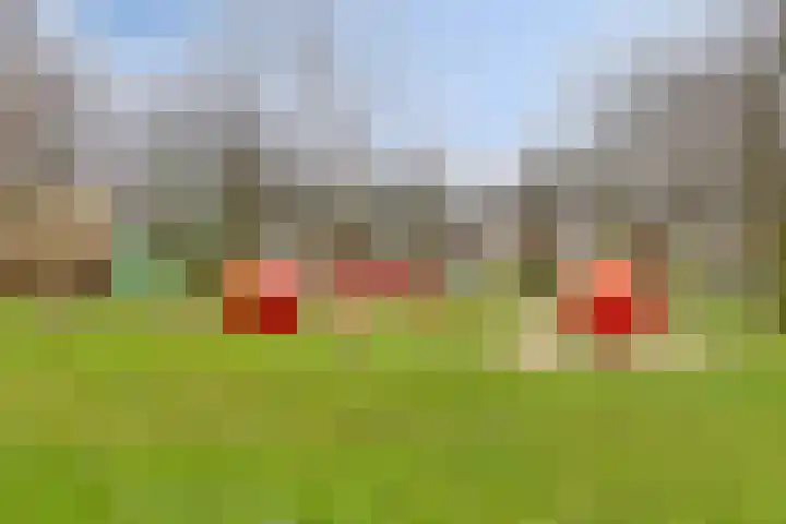 Oosthaag 53 Oss thumbnail 26