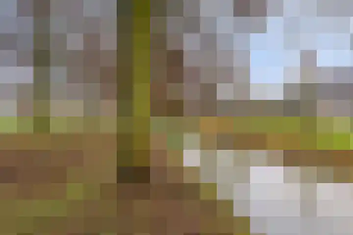 Oosthaag 53 Oss thumbnail 27