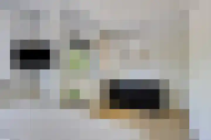 Oosthaag 63 Oss thumbnail 12