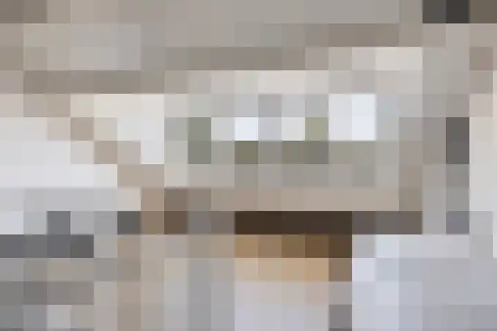 Oosthaag 63 Oss thumbnail 19