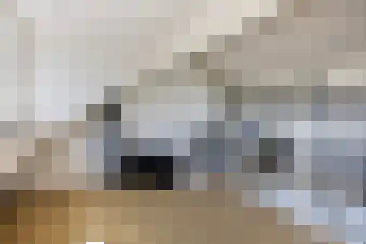 Oosthaag 63 Oss thumbnail 20