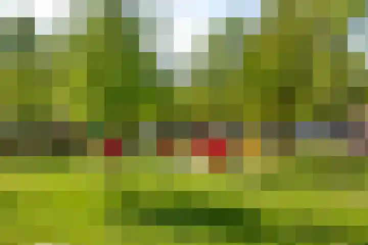 Oosthaag 63 Oss thumbnail 26