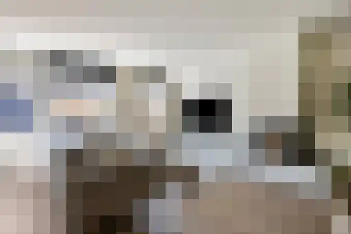 Oosthaag 63 Oss thumbnail 5