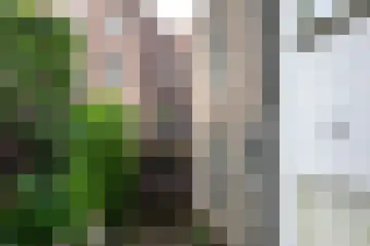 Oosthaven 14 Gouda thumbnail 101