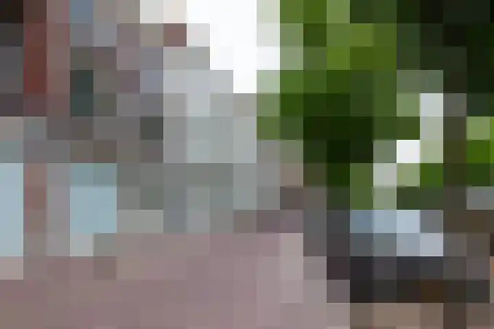 Oosthaven 14 Gouda thumbnail 105
