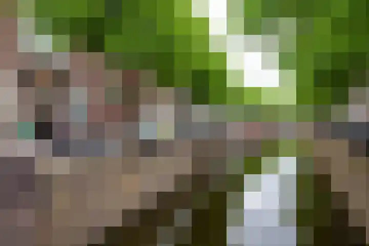 Oosthaven 14 Gouda thumbnail 109