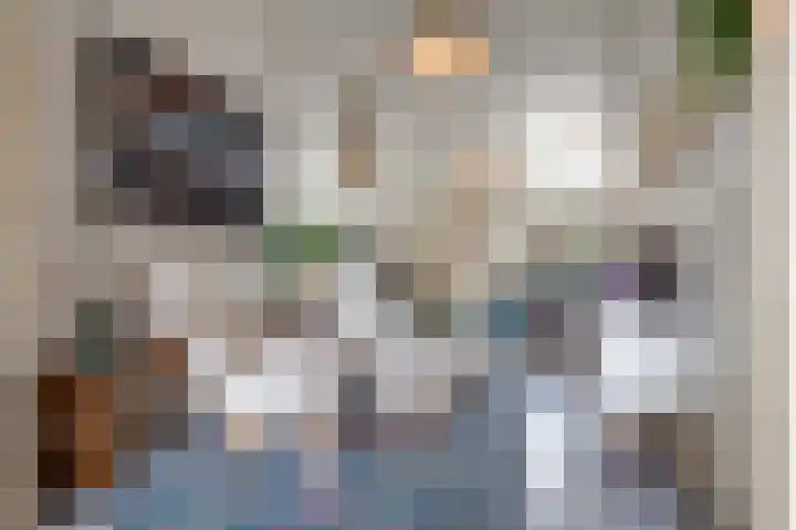 Oosthaven 14 Gouda thumbnail 11