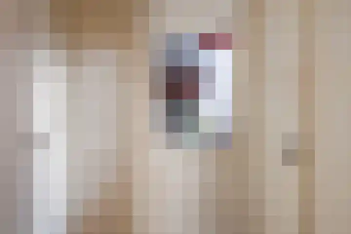 Oosthaven 14 Gouda thumbnail 13