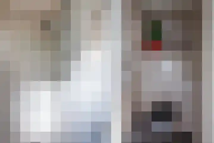 Oosthaven 14 Gouda thumbnail 32