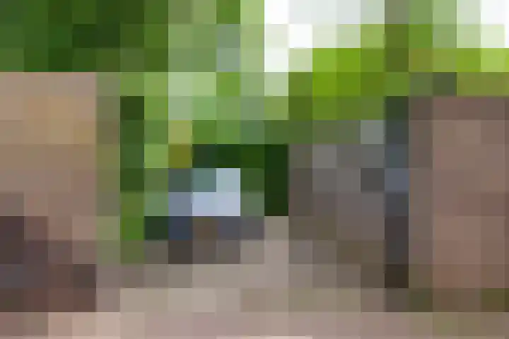 Oosthaven 14 Gouda thumbnail 4