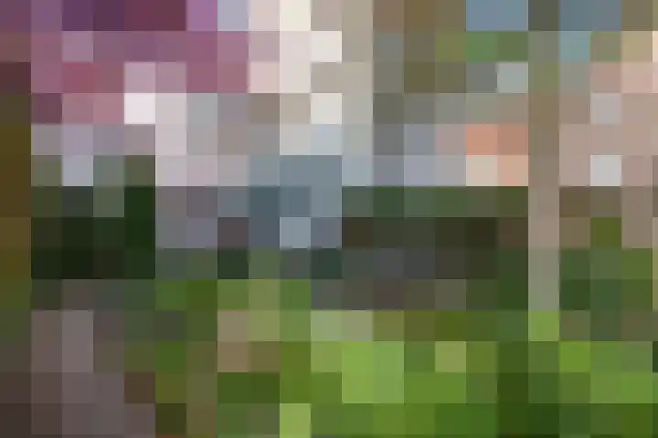 Oosthaven 14 Gouda thumbnail 48
