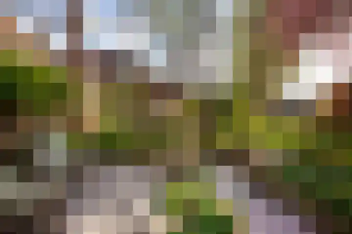 Oosthaven 14 Gouda thumbnail 50