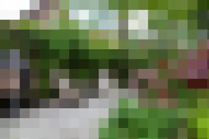 Oosthaven 14 Gouda thumbnail 51