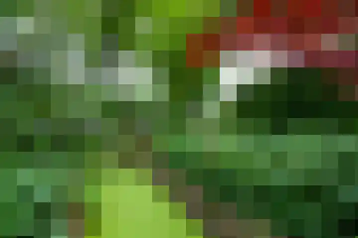 Oosthaven 14 Gouda thumbnail 56