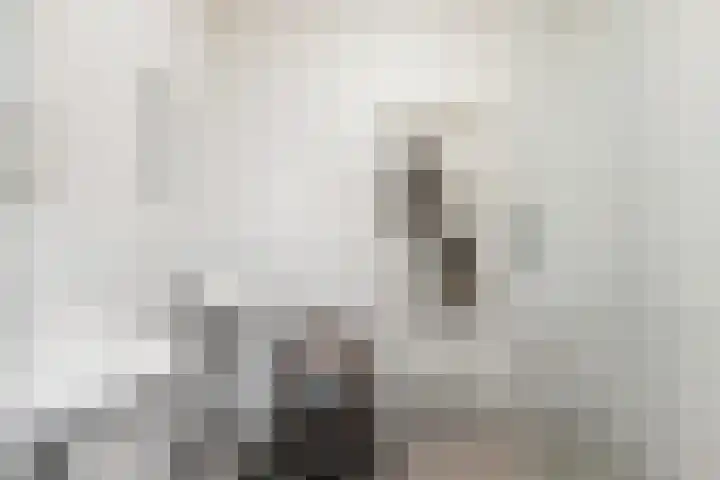 Oosthaven 17 c Gouda thumbnail 13