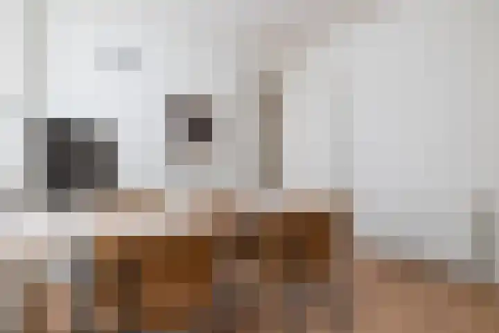 Oosthaven 17 c Gouda thumbnail 18