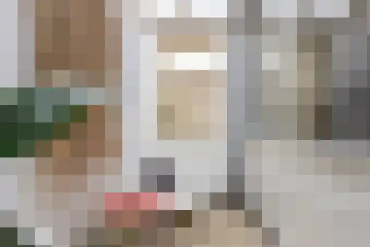 Oosthaven 17 c Gouda thumbnail 21