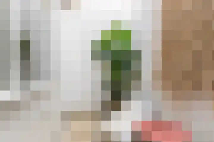 Oosthaven 17 c Gouda thumbnail 22