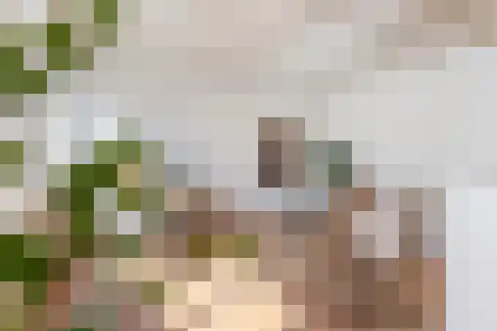 Oosthaven 17 c Gouda thumbnail 25