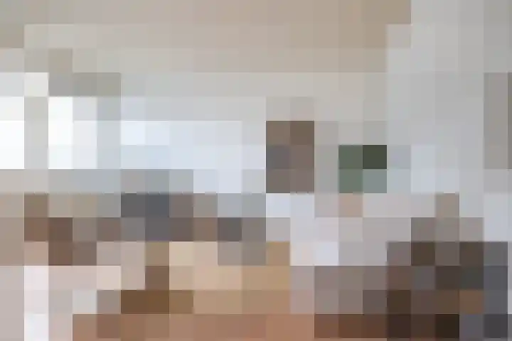 Oosthaven 17 c Gouda thumbnail 28