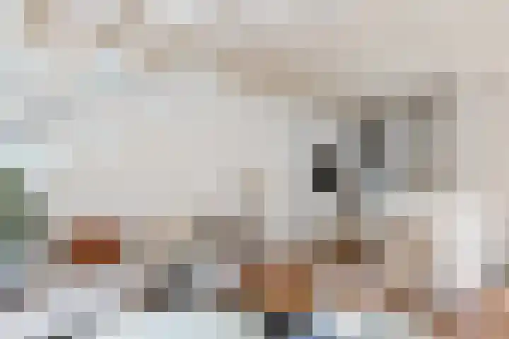 Oosthaven 17 c Gouda thumbnail 29