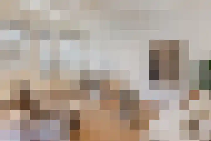 Oosthaven 17 c Gouda thumbnail 31