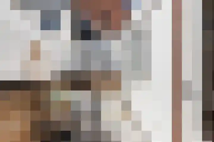 Oosthaven 17 c Gouda thumbnail 39