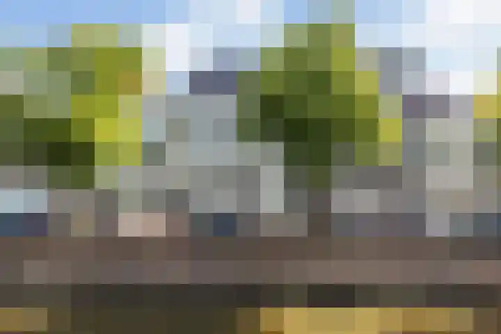Oosthaven 17 c Gouda thumbnail 43