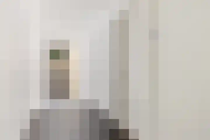Oosthaven 17 c Gouda thumbnail 6