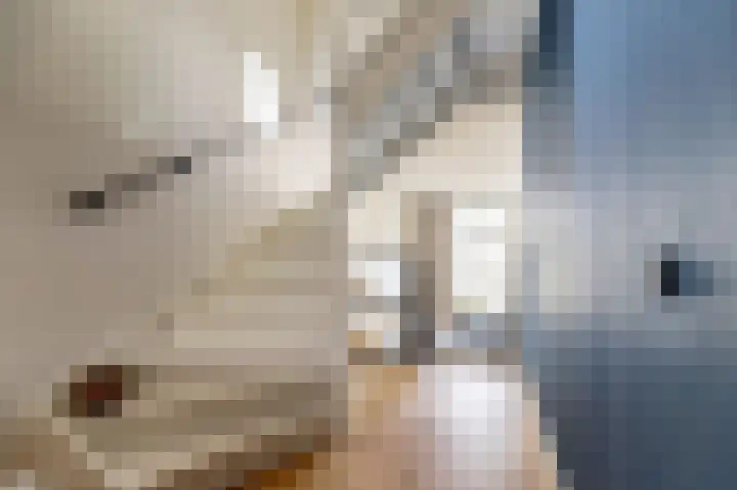 Oosthaven 50 b Gouda thumbnail 15
