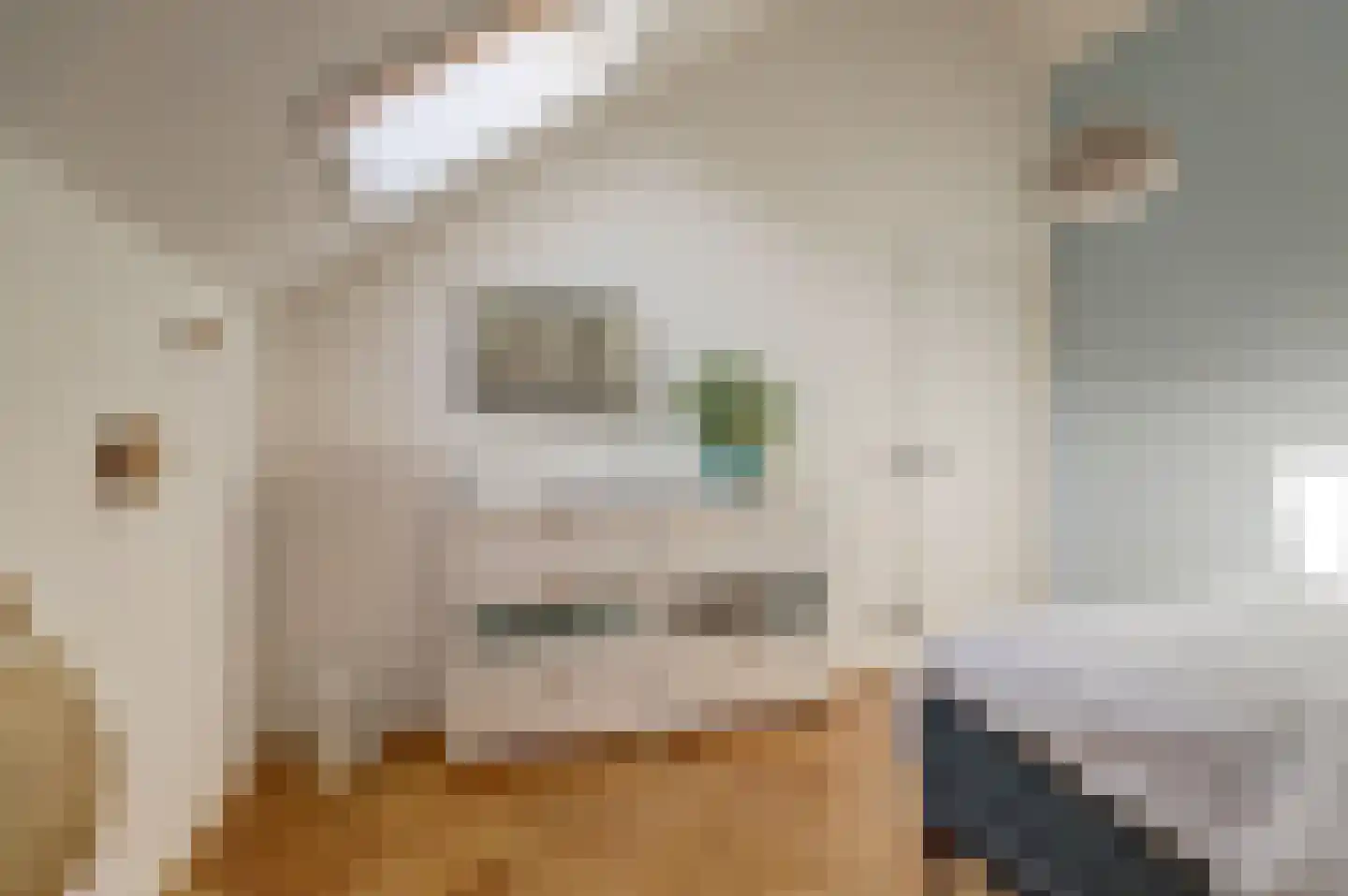 Oosthaven 50 b Gouda thumbnail 25