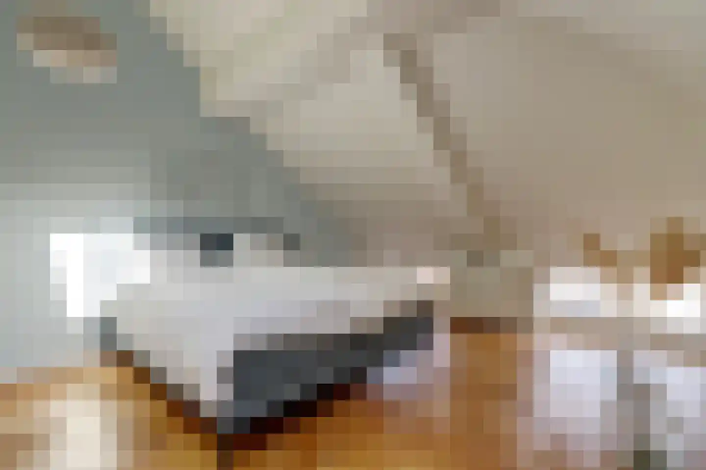Oosthaven 50 b Gouda thumbnail 26