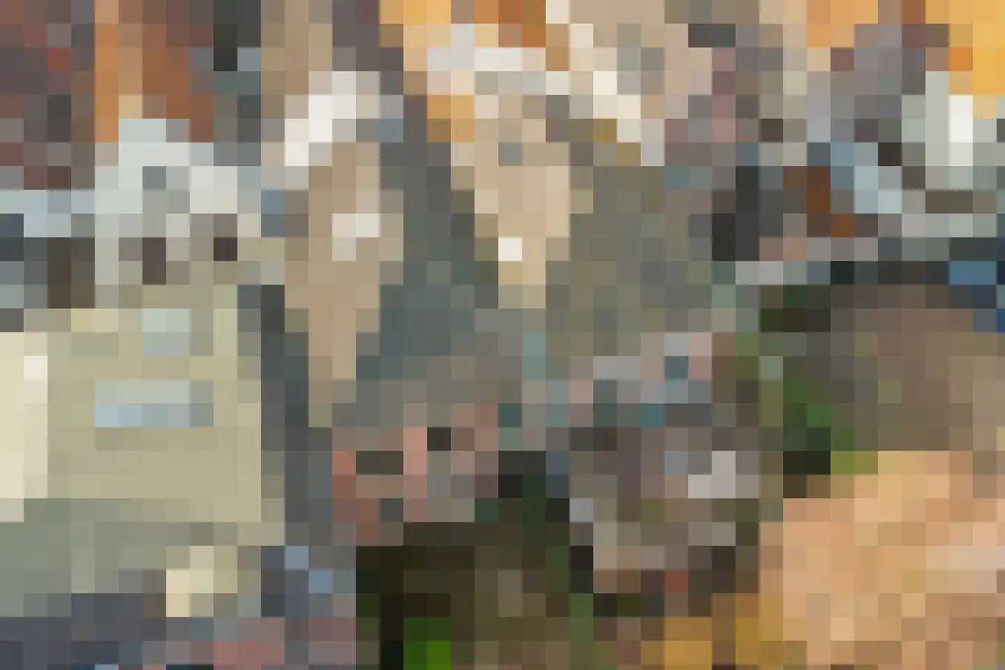 Oosthaven 50 b Gouda thumbnail 43