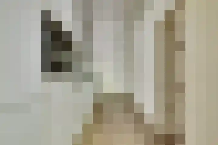 Oosthaven 53 a Gouda thumbnail 13