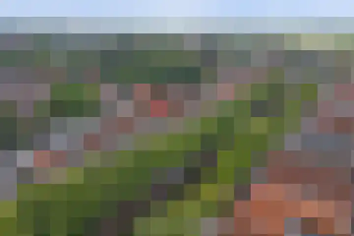 Oosthaven 53 a Gouda thumbnail 38