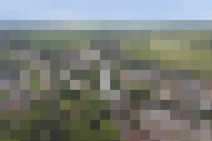 Oosthaven 53 a Gouda thumbnail 41