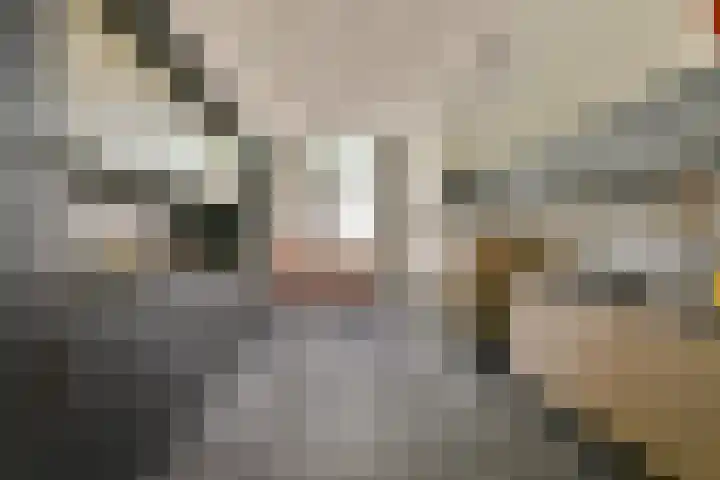 Oosthaven 53 Gouda thumbnail 10