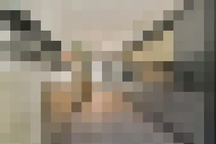 Oosthaven 53 Gouda thumbnail 11