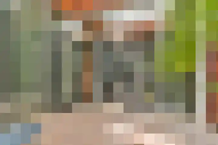 Oosthaven 53 Gouda thumbnail 16