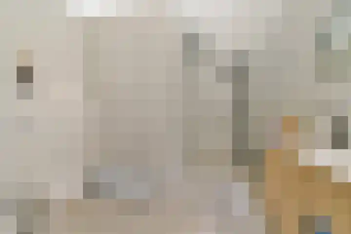 Oosthaven 53 Gouda thumbnail 20