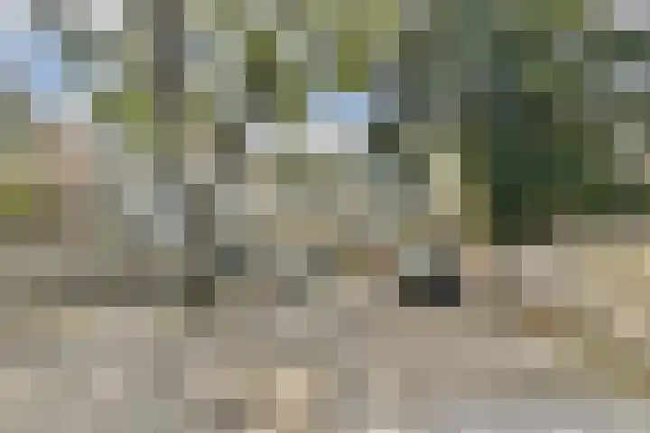 Oosthaven 53 Gouda thumbnail 29