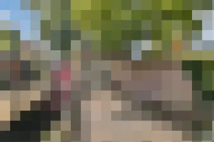 Oosthaven 53 Gouda thumbnail 30