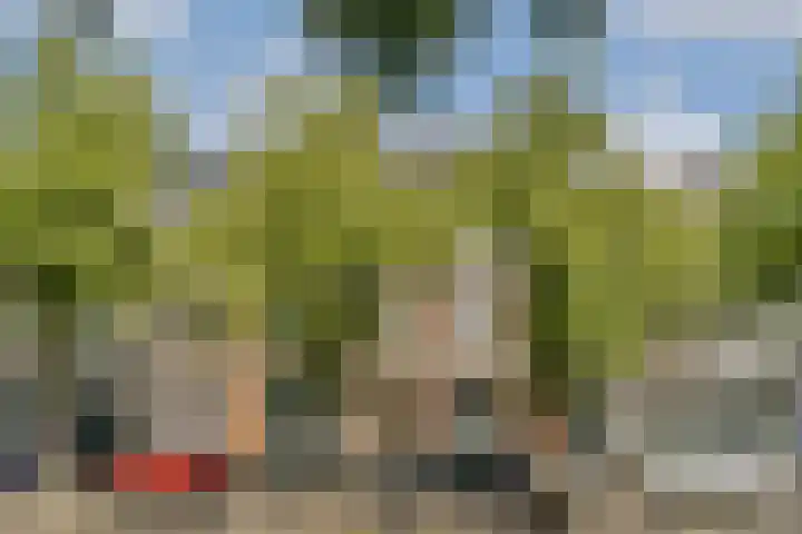 Oosthaven 53 Gouda thumbnail 33