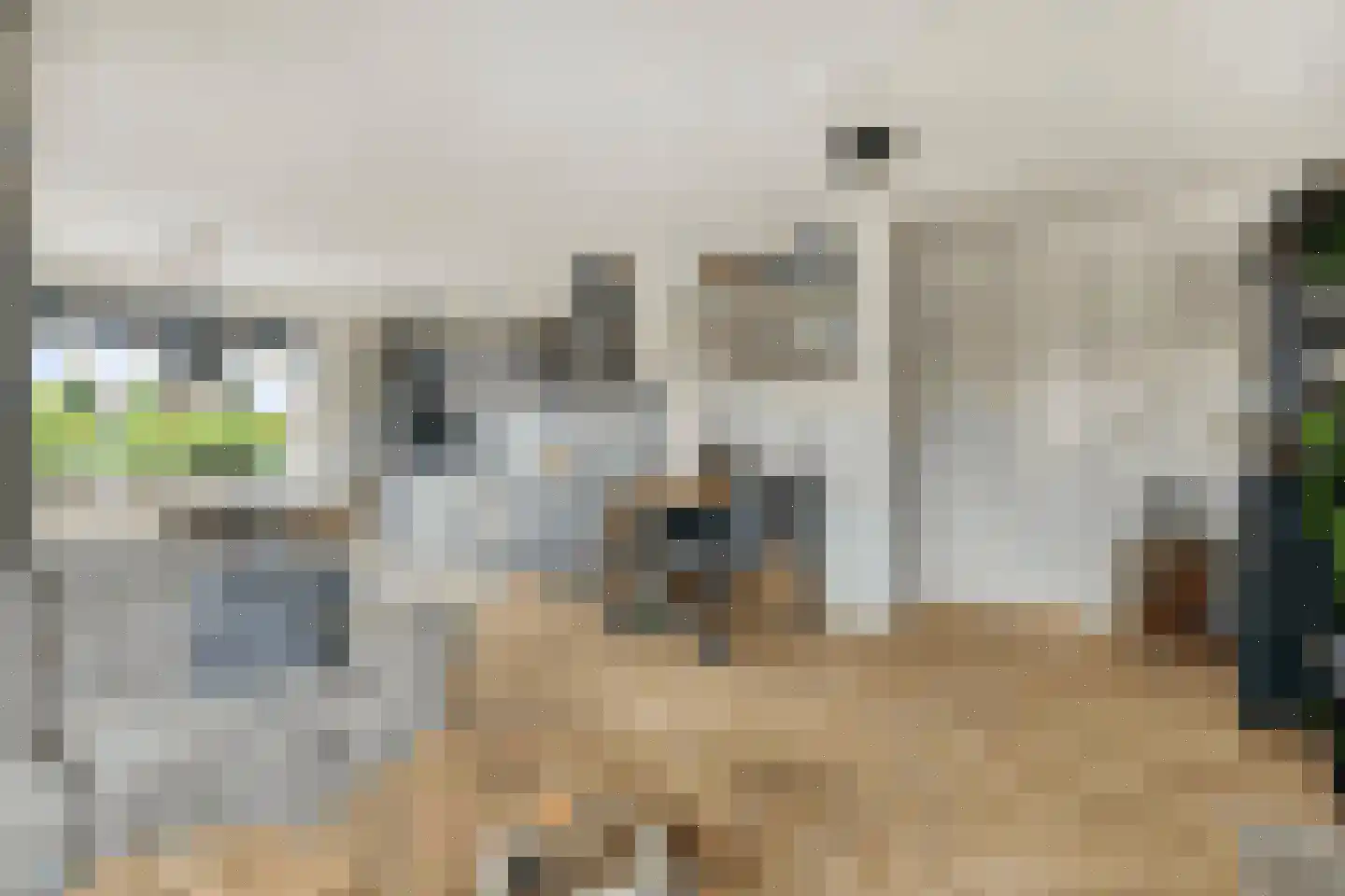 Oosthavendijk 101 Middelharnis thumbnail 14