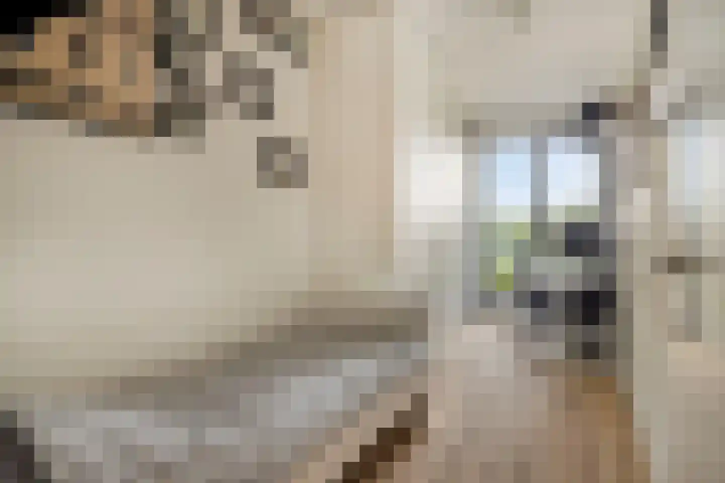Oosthavendijk 101 Middelharnis thumbnail 28