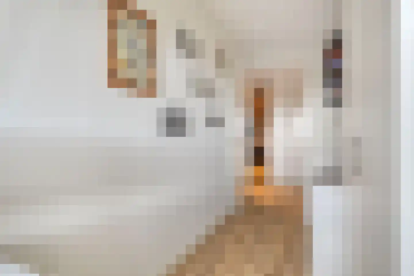 Oosthavendijk 101 Middelharnis thumbnail 29