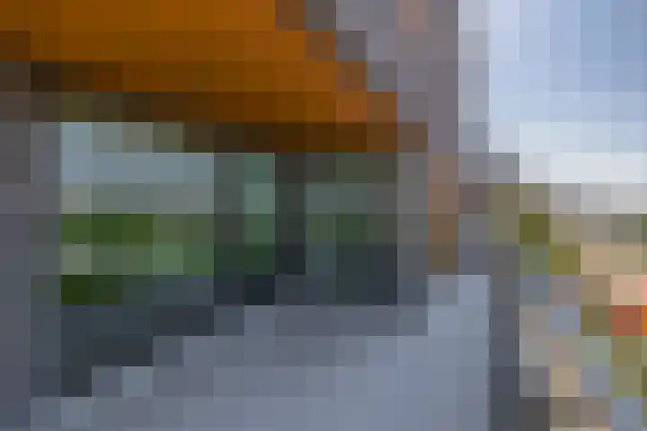 Oosthavendijk 119 Middelharnis thumbnail 22