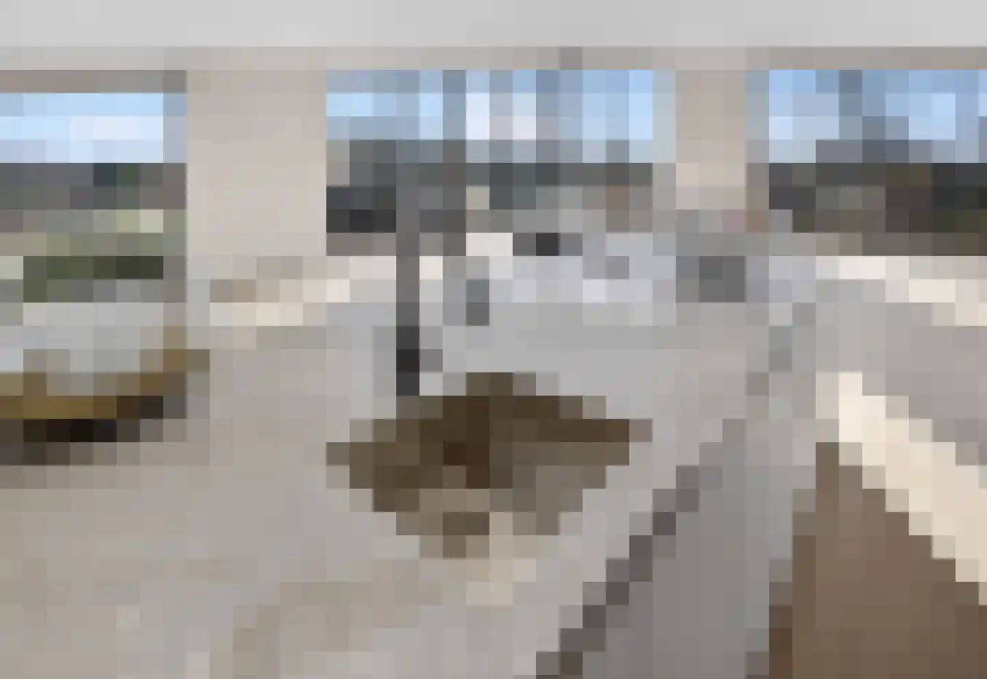 Oosthavendijk 123 Middelharnis thumbnail 7