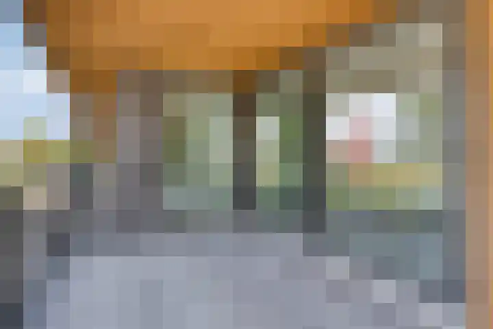 Oosthavendijk 128 Middelharnis thumbnail 17