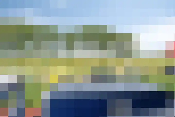 Oosthavendijk 128 Middelharnis thumbnail 19